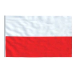 Steag Polonia