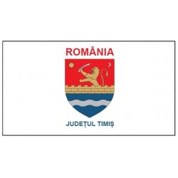 Steag Timiș
