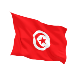 Steag Tunisia