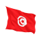 Steag Tunisia