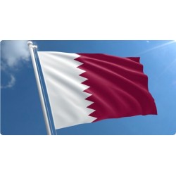 Steag Qatar