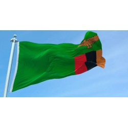 Steag Zambia