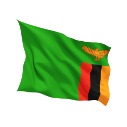 Steag Zambia