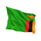 Steag Zambia