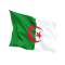 Steag Algeria 