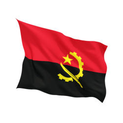 Steag Angola 