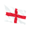Steag Anglia