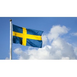 Steag Suedia