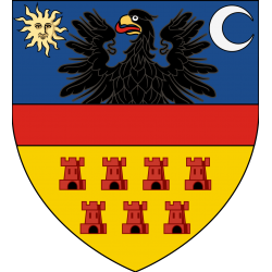 Steag Transilvania 