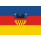 Steag Transilvania 