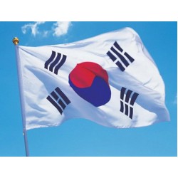 Steag Coreei de Sud
