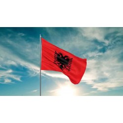 Steag Albania