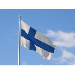Steag Finlanda