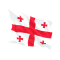 Steag Georgia