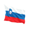 Steag Sloveniei